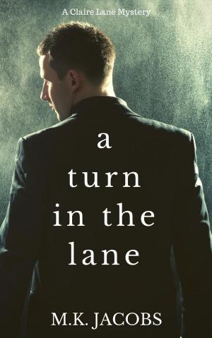 Cover of the book A Turn in the Lane by Stephen Randorf