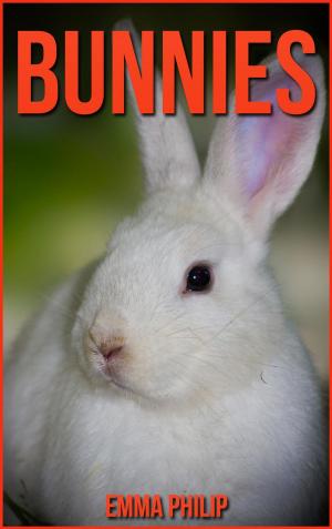 Book cover of Bunnies