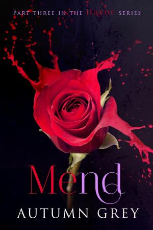 Cover of the book Mend by Diane Lynn McGyver