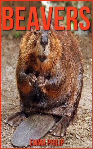 Cover of the book Beavers by Ismael Rogério Chedid (textos), Adan Lucius Marini (ilustrações), Daiane Basso (revisão)
