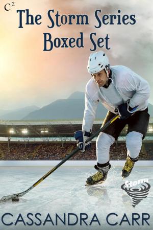 Cover of the book Storm Series Boxed Set by Cassandra Carr, Cindy Carr