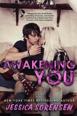 Cover of the book Awakening You by Jim Ricca