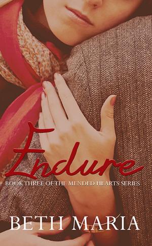 Cover of the book Endure by Roberto Bani