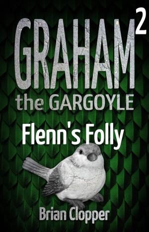 Cover of the book Flenn's Folly by RoAnna Sylver