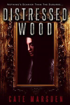 Cover of the book Distressed Wood by Perry Hurtt