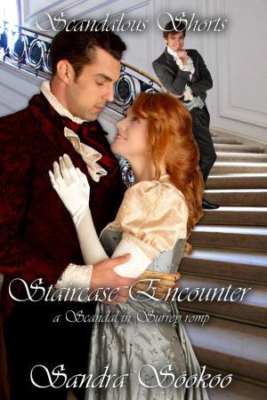 bigCover of the book Staircase Encounter by 