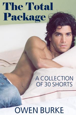 Cover of The Total Package: Gay Erotica Box Set