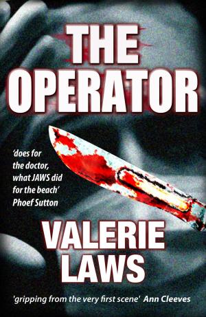 Book cover of The Operator (Bruce and Bennett Crime Thriller 2)