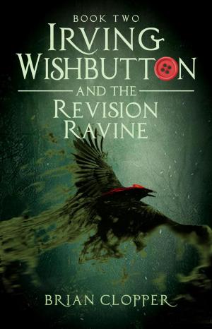 bigCover of the book The Revision Ravine by 
