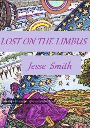 Cover of the book Lost On The Limbus by Susan B. Martinez, Ph.D.