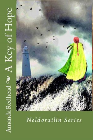 Cover of the book A Key of Hope by Tony H Leather