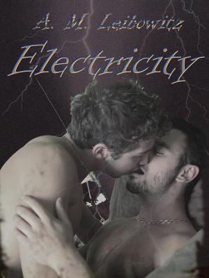Book cover of Electricity