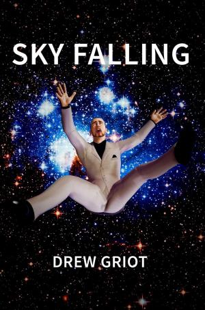 Cover of the book Sky Falling by PJ Tye