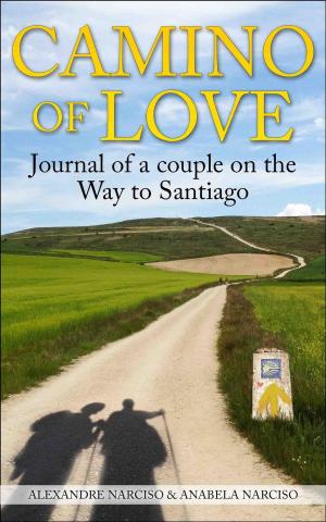 Cover of the book Camino of Love by Jorge Lucendo