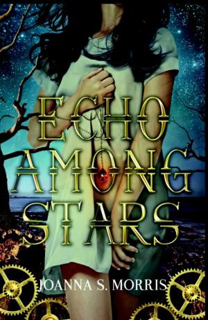 Cover of the book Echo Among Stars by Jose Luis Solorzano
