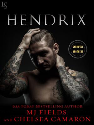 Cover of the book Hendrix by David A. Clary