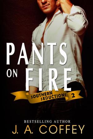 Cover of the book Pants on Fire by Colette Black