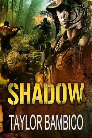bigCover of the book Shadow by 