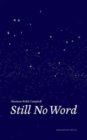 Cover of the book Still No Word by Susan MacDonald