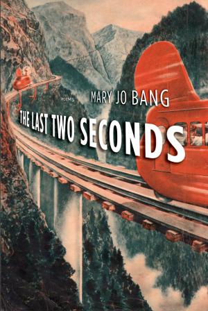 Cover of the book The Last Two Seconds by Sarah Manguso