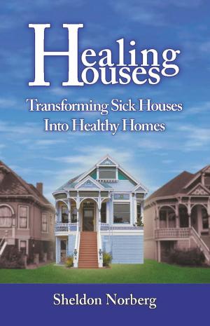 Cover of the book Healing Houses by Beverly A. Potter, Ph.D.