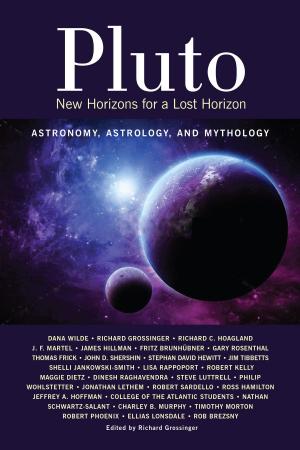 Cover of the book Pluto by Nick Groom