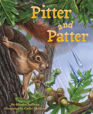Cover of the book Pitter and Patter by Marianne Berkes