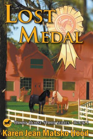 Cover of the book Lost Medal by Karen Jean Matsko Hood