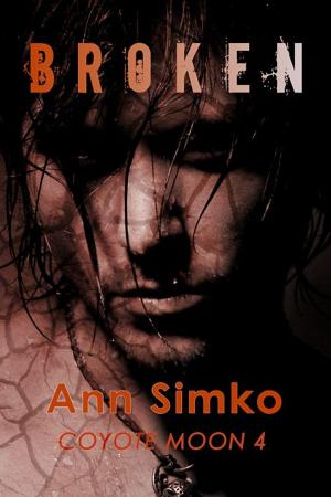 Cover of the book Broken by Linda Palmer
