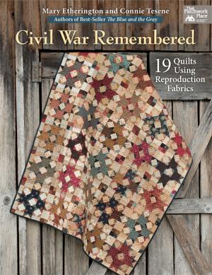 Cover of the book Civil War Remembered by Vicki Bellino