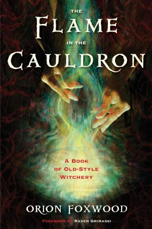 Cover of the book The Flame in the Cauldron by Katharine Hansen