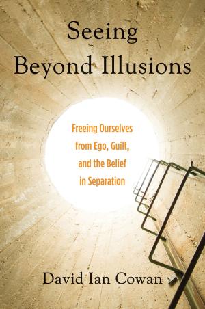 Cover of the book Seeing Beyond Illusions by Aliza Einhorn