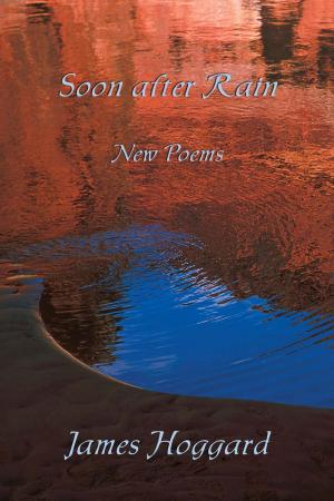 Cover of the book Soon After Rain by Bill Wright