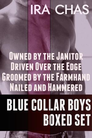 Cover of the book Blue Collar Boys Boxed Set by Lisabet Sarai