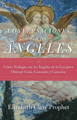 Cover of the book Conversaciones con los ángeles by Colleen Messina