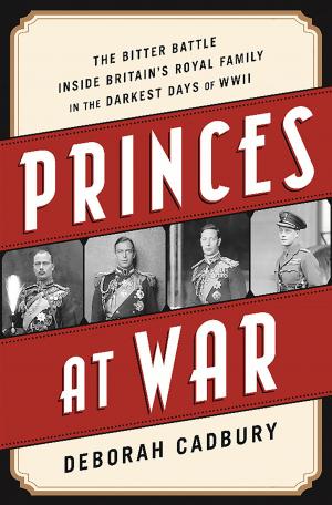Cover of the book Princes at War by Thomas J. Tierney, Joel L. Fleishman