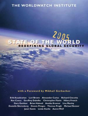 Cover of the book State of the World 2005 by Joseph J. Romm