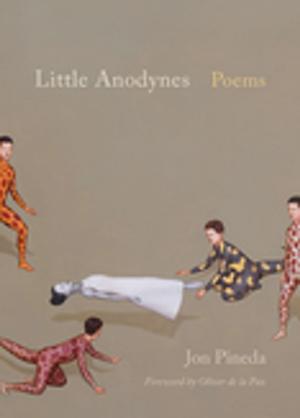 Cover of the book Little Anodynes by Pam Durban