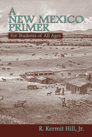 Cover of the book A New Mexico Primer by Melvyn Chase