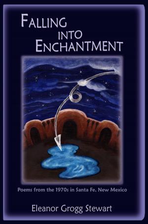 Cover of the book Falling Into Enchantment by Robert Laurence