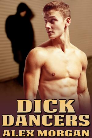 Cover of the book Dick Dancers by Jane Suen