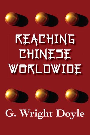 Cover of the book Reaching Chinese Worldwide by Sydney Avey