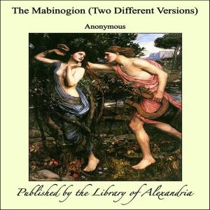 Cover of the book The Mabinogion by Leonardo da Vinci