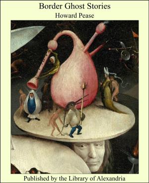 Cover of the book Border Ghost Stories by Alexander Van Millingen