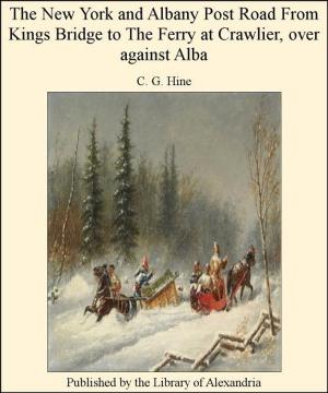 Cover of the book The New York and Albany Post Road From Kings Bridge to The Ferry at Crawlier, over against Alba by Songling Pu