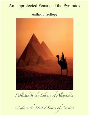 Cover of the book An Unprotected Female at The Pyramids by Anonymous