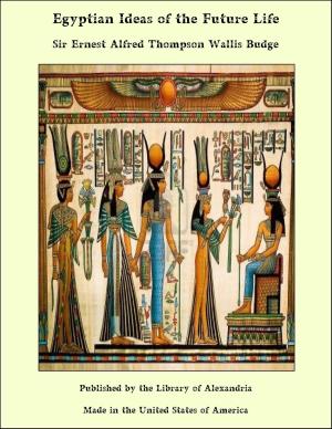 Book cover of Egyptian Ideas of the Future Life