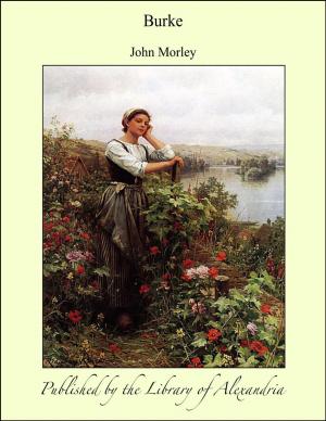 Cover of the book Burke by Margaret Murray Robertson