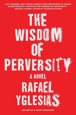 Cover of the book The Wisdom of Perversity by Robert Olmstead