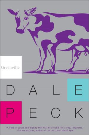 Cover of the book Greenville by Fuminori Nakamura